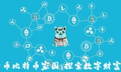 虚拟货币比特币家园：探索数字财富的未来