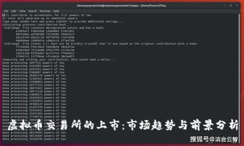 虚拟币交易所的上市：市场趋势与前景分析
