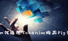 : 如何通过Tokenim购买Pig代币