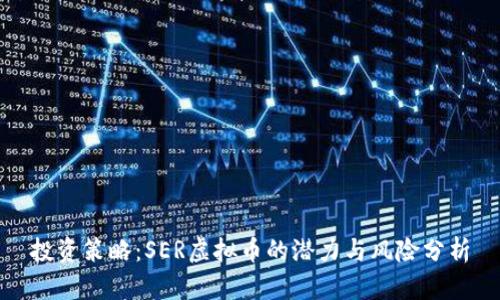投资策略：SER虚拟币的潜力与风险分析