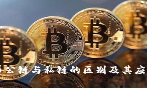 虚拟币公链与私链的区别及其应用分析