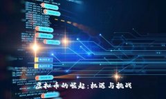 虚拟币的崛起：机遇与挑战