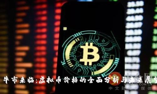 牛市来临：虚拟币价格的全面分析与未来展望