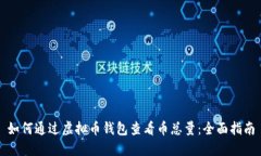 如何通过虚拟币钱包查看币总量：全面指南