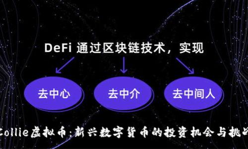 :
Collie虚拟币：新兴数字货币的投资机会与挑战