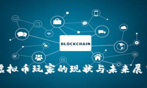 虚拟币玩家的现状与未来展望