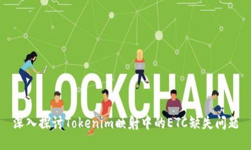 深入探讨Tokenim映射中的ETC缺失问题
