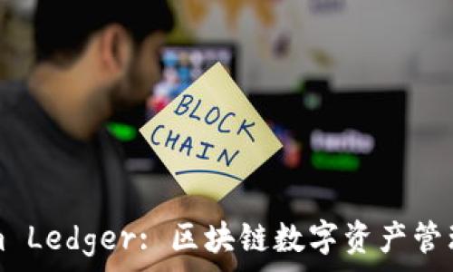   
Tokenim Ledger: 区块链数字资产管理的未来