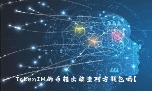 TokenIM的币转出能查对方钱包吗？
