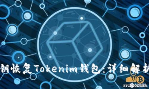 如何通过私钥恢复Tokenim钱包：详细解析与步骤指南