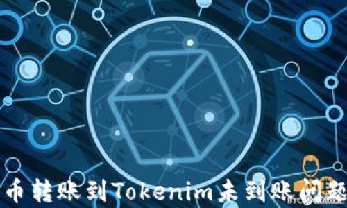 
从火币转账到Tokenim未到账问题解析