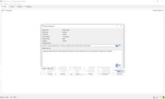 东北虚拟币的崛起与未来展望