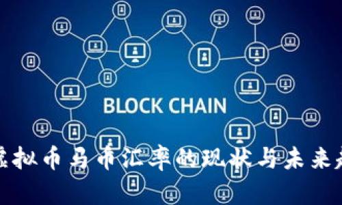   虚拟币马币汇率的现状与未来趋势