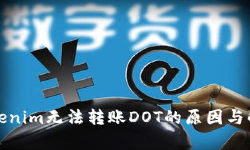 解析Tokenim无法转账DOT的原因与解决方案
