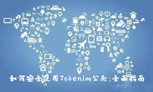如何安全使用Tokenim公匙：全面指南