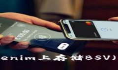 如何在Tokenim上存储BSV（比特币SV）