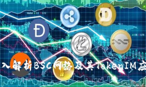 深入解析BSC网络及其TokenIM应用
