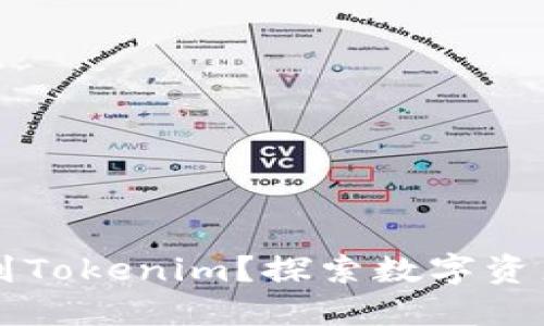 为什么要提币到Tokenim？探索数字资产管理的新境界