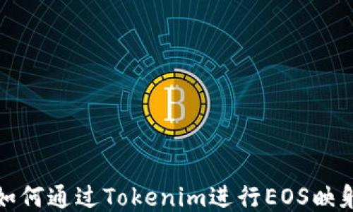 
如何通过Tokenim进行EOS映射