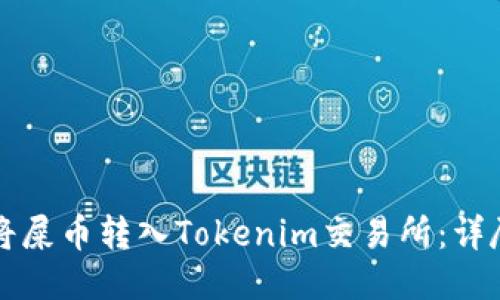 如何将屎币转入Tokenim交易所：详尽指南