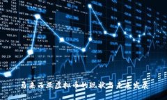 马来西亚虚拟币的现状与未来发展