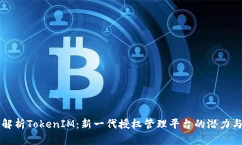 深入解析TokenIM：新一代授权管理平台的潜力与应用