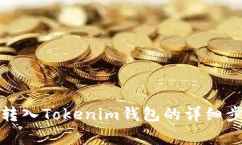 如何将空气币转入Tokenim钱包的详细步骤与注意事项