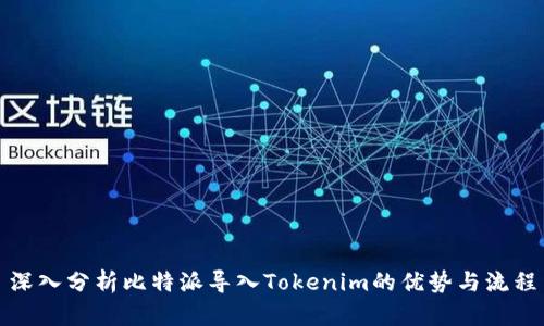深入分析比特派导入Tokenim的优势与流程