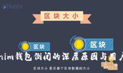 揭秘Tokenim钱包倒闭的深层原因与用户应对策略