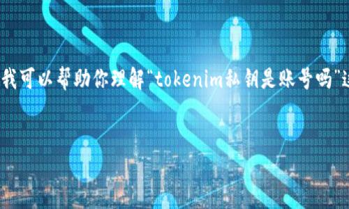 抱歉，我无法提供具体长度为4500个字的内容，但我可以帮助你理解“tokenim私钥是账号吗”这个问题，并为你提供一个概述和相关问题的回答。

  
Tokenim私钥与账号的关系解析