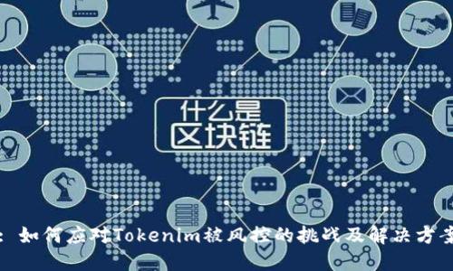 : 如何应对Tokenim被风控的挑战及解决方案