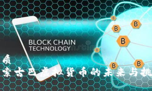 优质  
探索古巴虚拟货币的未来与挑战