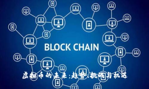 虚拟币的未来：趋势、挑战与机遇