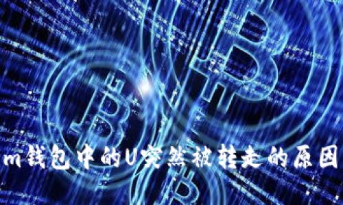 探讨Tokenim钱包中的U突然被转走的原因及应对措施