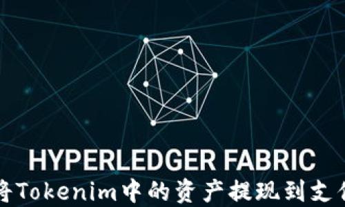 
如何将Tokenim中的资产提现到支付账户