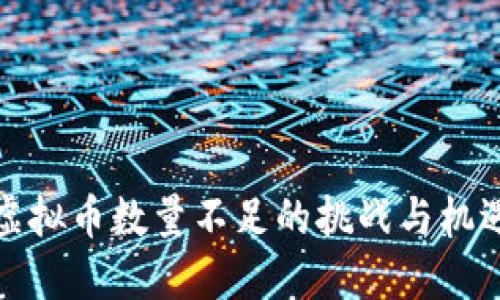 虚拟币数量不足的挑战与机遇