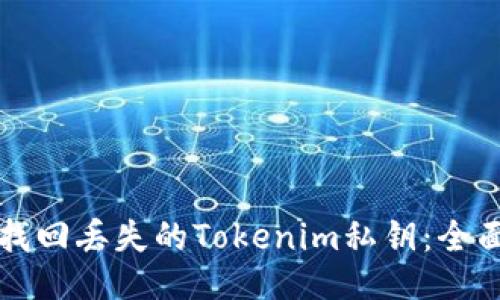 如何找回丢失的Tokenim私钥：全面指南