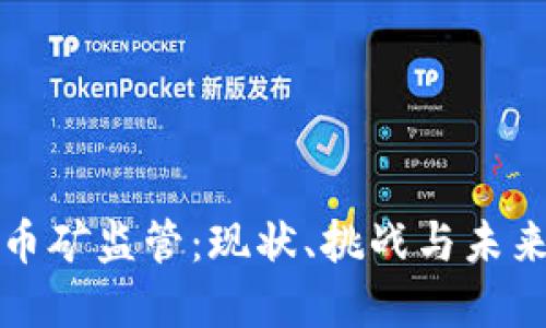 虚拟币矿监管：现状、挑战与未来趋势