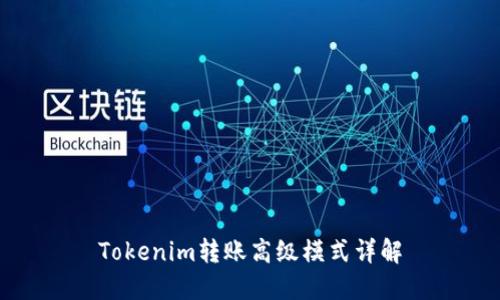 Tokenim转账高级模式详解