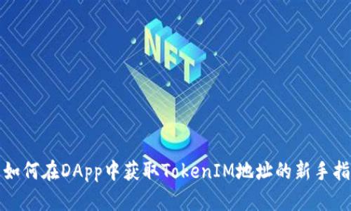 : 如何在DApp中获取TokenIM地址的新手指南