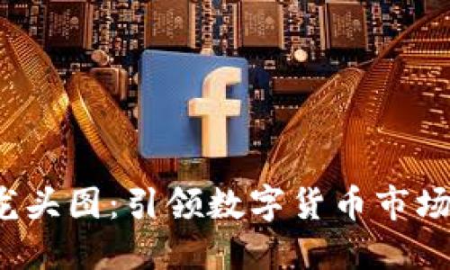  虚拟币龙头图：引领数字货币市场的风向标