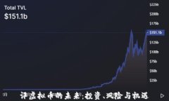 评虚拟币的未来：投资、风险与机遇