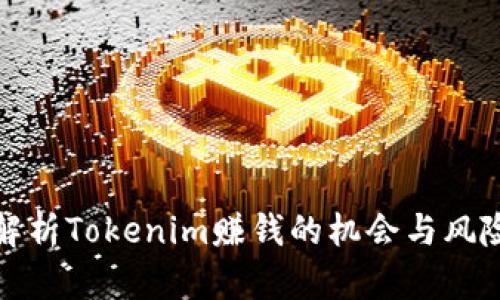 解析Tokenim赚钱的机会与风险