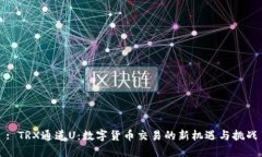 : TRX通道U：数字货币交易的新机遇与挑战