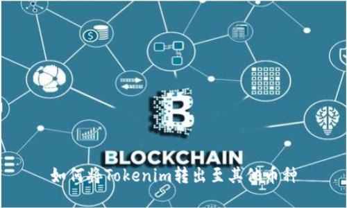 如何将Tokenim转出至其他币种