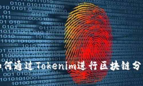 如何通过Tokenim进行区块链分析