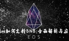 Tokenim如何支持BNB：全面解析与应用场景