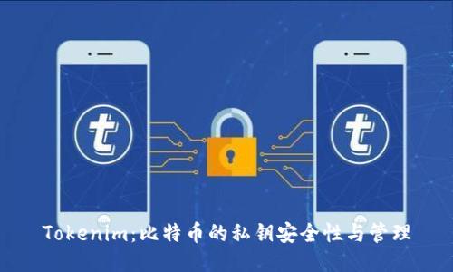 Tokenim：比特币的私钥安全性与管理