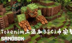 如何在Tokenim上添加BSC（币安智能链）
