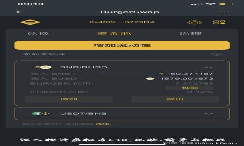 深入探讨虚拟币LTK：现状、前景与挑战